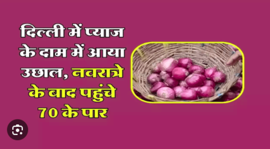 Today Update Onion Price : नवरात्र के बाद प्याज की कीमतों में तेजी, सरकार ने कदम बढ़ाया  जाने क्या है आपके शहर का रेट