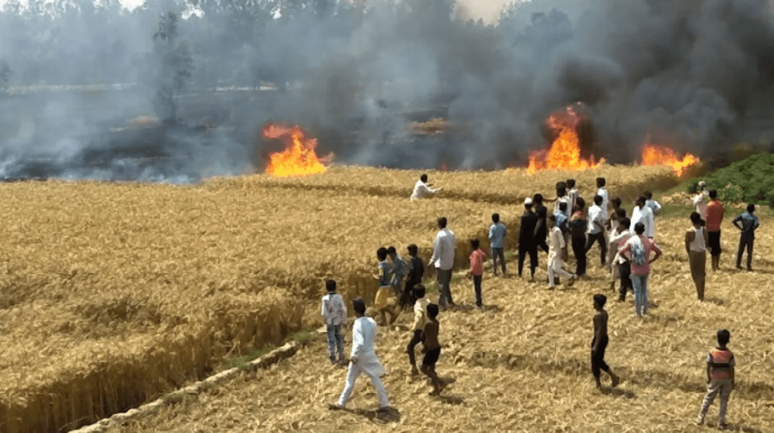 अलीगंज प्रखंड क्षेत्र के कोदवरिया गांव मैं  चिंगारी बनी ज्वाला  : 50 बीघे गेहूं की फसल धुआं में उड़ी, खून-पसीने की कमाई आग में डूबी; किसानों को बिलखते हुए देखकर दिल दहल गया, जान की परवाह किए बिना कूद गए लोग आग की लपटों में