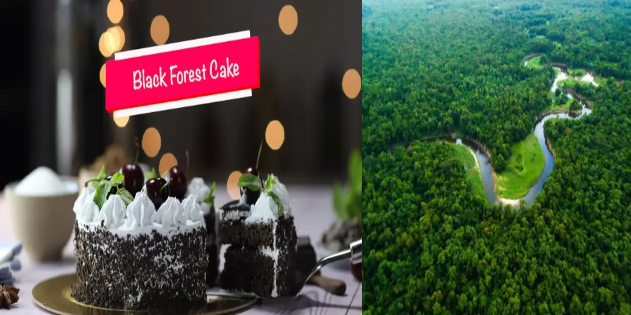 Black Forest Cake