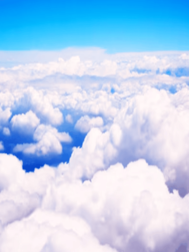 wine cloud