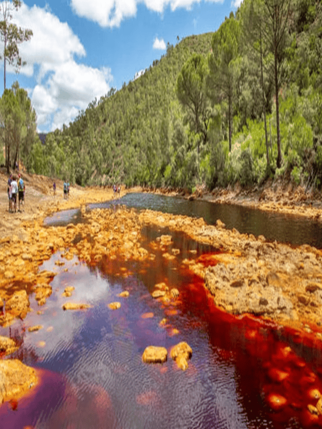 dangerous river