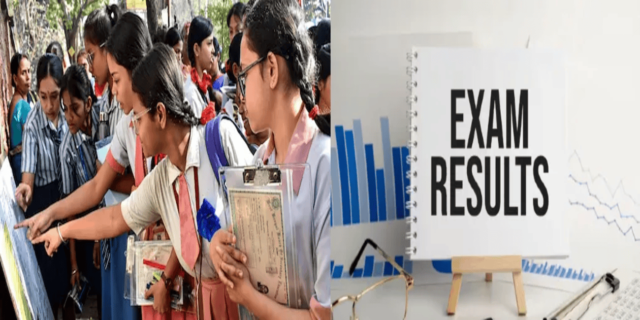 SSC Supplementary Results 2025