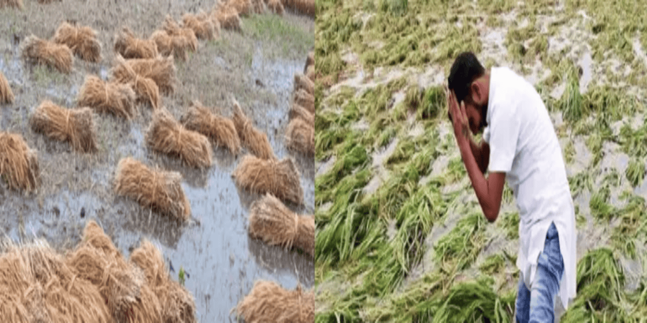 Storms and Rain in state